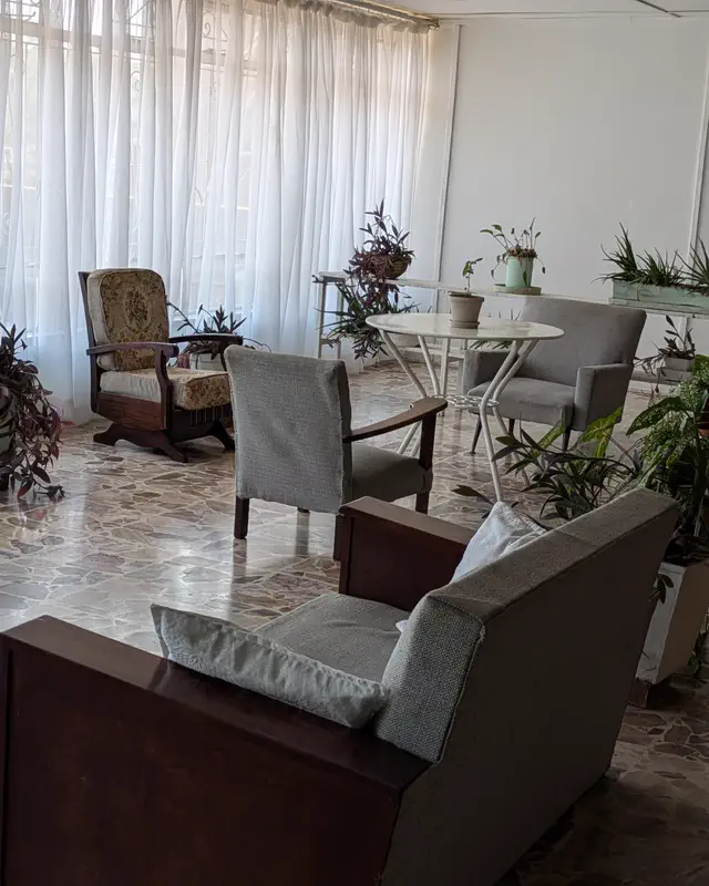 A bright lounge with armchairs, a round table and pot plants